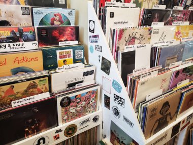 Retro Müzik Mağazası Ayarlarında LP çeşitleri