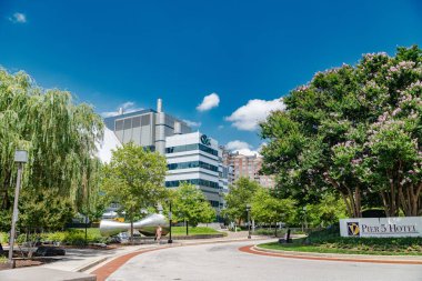 Baltimore 'daki Boş Amerikan Şehir Sokakları Mavi Gök altında