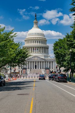 Majestic Capitol Kubbesi, gündüz vakti. Etrafı canlı yeşil ağaçlarla çevrili.