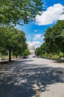 Washington DC hükümet binası görüş alanımızda. Manzaralı park önplanı.