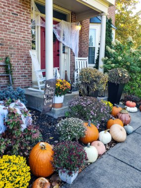 Bahçede örümcek ağları, balkabakları ve sonbahar bitkileriyle ürkütücü sezonu kutluyoruz..