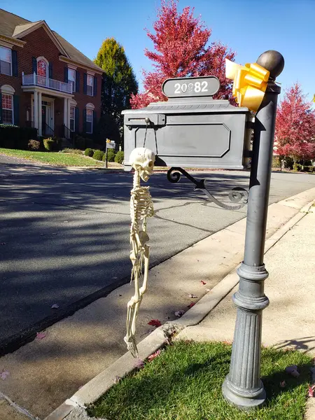 Cadılar Bayramı için İskeletlerle dekore edilmiş ev.