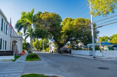Key West 'te palmiye ağaçlarıyla çevrili geleneksel güney mimarisi. Güzel bir ada kasabasında güneşli bir Florida günü.