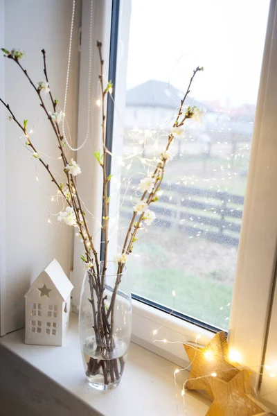 Ανθισμένα Κλαδιά Κερασιάς Γιρλάντα Γυάλινο Βάζο Άνοιξη Λουλούδια Ανθίζουν Χειμώνα — Φωτογραφία Αρχείου