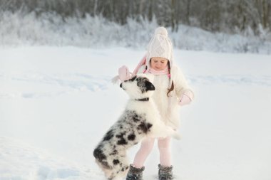 Kışın kar üzerinde arkadaşı Avustralya çoban köpeğiyle oynayan bir kız. Güzel, buzlu ormanın yanında. Çocuk ve köpeğin arkadaşlık kavramı