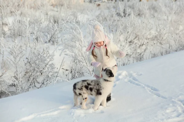 Dívka Hraje Svým Přítelem Australský Ovčák Štěně Sněhu Zimním Dni — Stock fotografie
