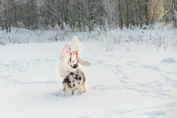 Dívka Hraje Svým Přítelem Australský Ovčák Štěně Sněhu Zimním Dni — Stock fotografie