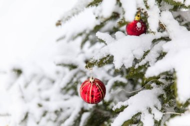 Beyaz karla kaplı, parlak Noel mücevherleri, oyuncaklar ve bahçedeki kırmızı toplarla süslenmiş güzel bir Noel ağacı.