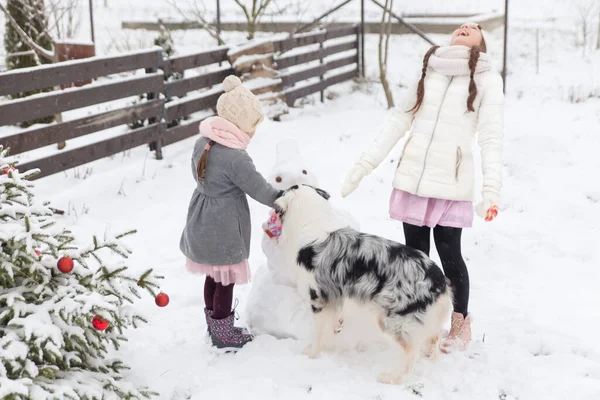 Сестри Бавляться Австралійським Псом Сніговиком Рожевим Язаним Шарфом Зимовому Городі — стокове фото