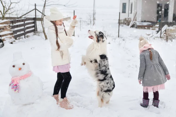 冬の庭でオーストラリアの羊飼いの犬とピンクのニットスカーフを持つ雪だるまと遊ぶ姉妹 — ストック写真