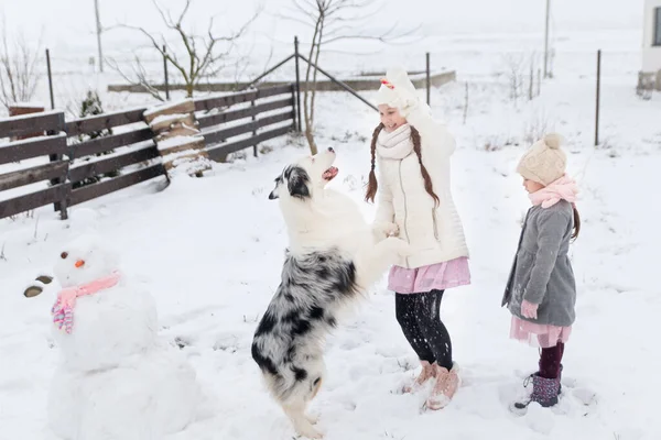 Сестри Бавляться Австралійським Псом Сніговиком Рожевим Язаним Шарфом Зимовому Городі — стокове фото