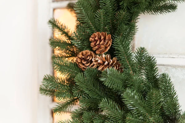 Christmas Green Wreath Cones Window Holiday Studio — Stock Photo, Image