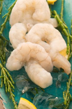 Marsh Samphire ile çiğ karides