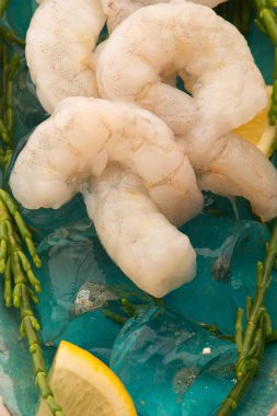 Marsh Samphire ile çiğ karides