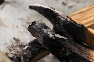 Peru Palo Santo kutsal ahşap tütsü çubuğuyla leke seremonisi