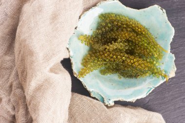 Caulerpa lentillifera yosun bryopsidale yeşil algler familyasından bir