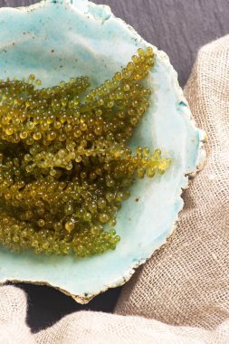 Caulerpa lentillifera yosun bryopsidale yeşil algler familyasından bir