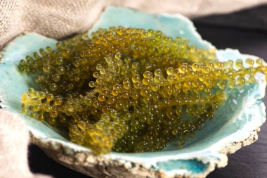 Caulerpa lentillifera yosun bryopsidale yeşil algler familyasından bir