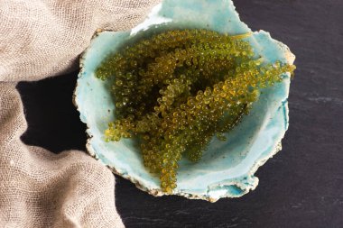 Caulerpa lentillifera yosun bryopsidale yeşil algler familyasından bir