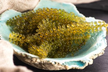 Caulerpa lentillifera yosun bryopsidale yeşil algler familyasından bir