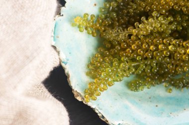 Caulerpa lentillifera yosun bryopsidale yeşil algler familyasından bir