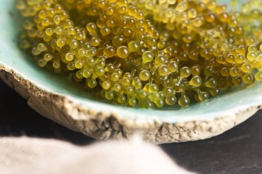 Caulerpa lentillifera yosun bryopsidale yeşil algler familyasından bir