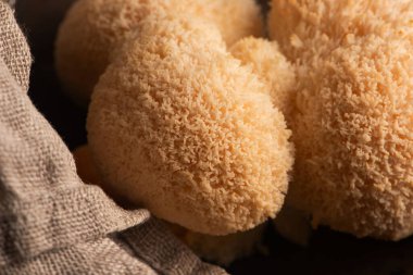 Hericium erinaceus mantarı mantarı, sakallı diş mantarı, sakallı kirpi mantarı, ponpon, aslan yelesi mantarı. Uzak Doğu tıbbı bu mantarı kullanır.