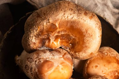 Yemek malzemesi. Tabakta Shiitake mantarı