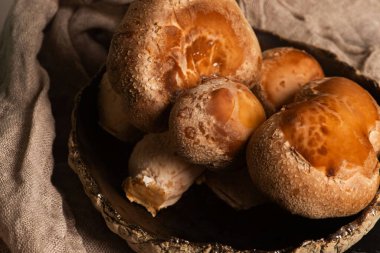 Yemek malzemesi. Tabakta Shiitake mantarı
