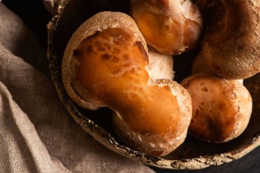 Yemek malzemesi. Tabakta Shiitake mantarı