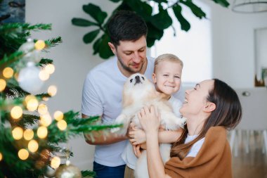 Güzel, mutlu bir ailenin portresi. Noel ağacının yanında köpek kucaklaşması.