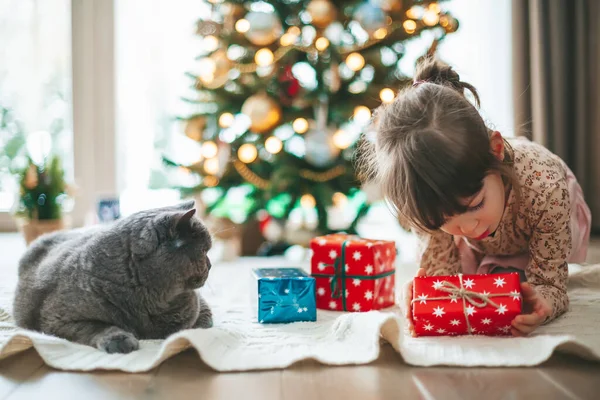 Cute Little Girl Holding Gift Box Grey British Cat Lying — Stock Photo, Image