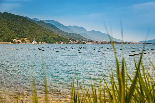 View of the mussel and oyster farm along the coast of the Bay of Kotor near the Josice, Montenegro