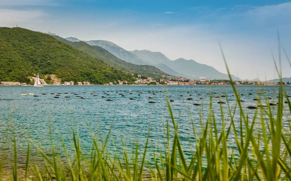 View of the mussel and oyster farms along the coast of the Bay of Kotor near the Josice, Montenegro