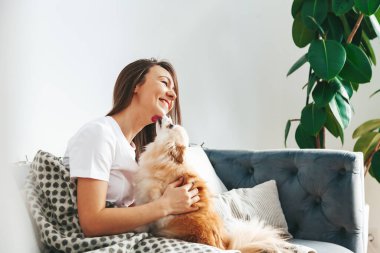 Pomeranian spitz licking it's owner - the young woman, sitting on the sofa