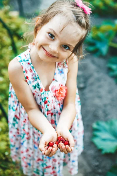 Sonriente Linda Niña Sosteniendo Pequeñas Fresas Orgánicas Sus Palmas —  Fotos de Stock
