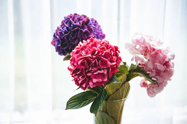 Schöner Strauß Bunt Blühender Hortensienblüten Einer Vase — Stockfoto