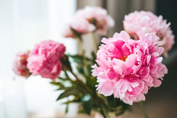 Close Delicate Roze Bloemblaadjes Van Pioenrozen Bloemen — Stockfoto