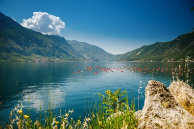 Karadağ 'ın Kotor Körfezi' ndeki midye ve istiridye çiftliklerinden biriyle manzara