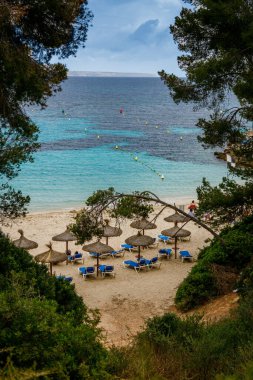 Playa de Illetes ağaçların arasında, Mallorca, İspanya 'da sakin bir sahil cenneti.
