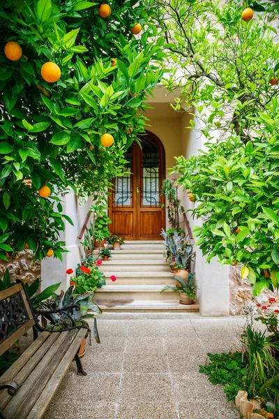 Cozy patio with orange tree and a bench in a small Spanish village in Mallorca