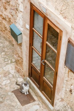 Sokakta kapının önünde oturan sevimli kedi. Birinin içeri girmesini bekliyor.