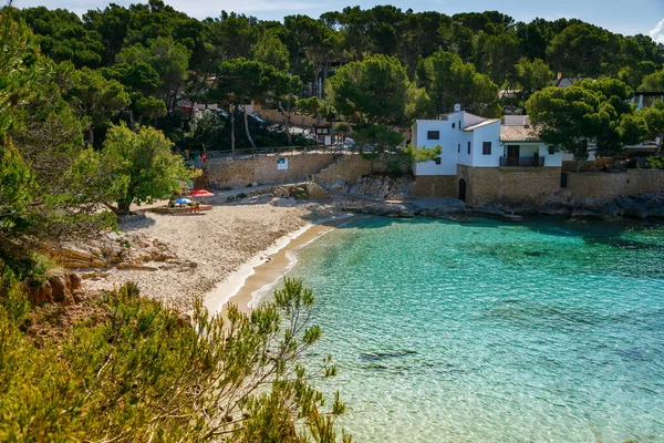 Mallorca 'daki Cala Gat plajı, kumlu kıyı şeridini ve sakin Akdeniz sularını sergiliyor.