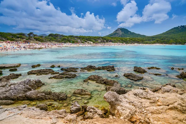 stock image Cala Agulla beach in Mallorca, featuring shoreline full of people, azure waters and a backdrop of rocky cliffs