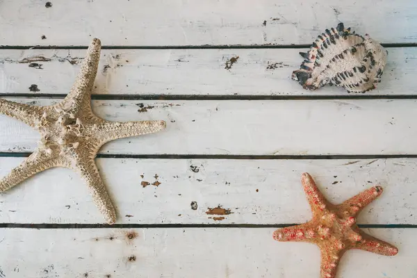Top View Two Starfishes Seashell Lying Rustic White Wooden Background ストック画像