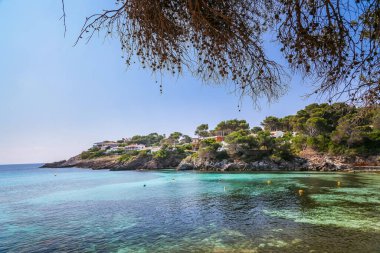 Font de Sa Cala beach in Mallorca offers a peaceful view of clear turquoise waters, rocky outcrops, and beautiful pine trees clipart