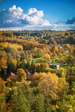 Pavilniai Bölgesel Parkı, Vilnius, Litvanya 'daki Puckoriu atodanga, sonbaharda yeşil, sarı ve turuncu renkli yaprakların manzarasına sahiptir.