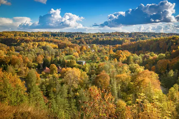 Vilnius, Litvanya 'daki Pavilniai Bölgesel Parkı' ndaki Puckoriu atodanga, sonbaharda yemyeşil, sarı ve turuncu parlak tonlara sahip yemyeşil bir ormanla çevrilidir.