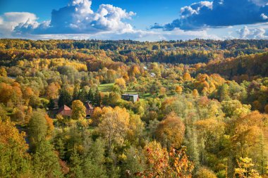 Litvanya 'nın Vilnius kentindeki Pavilniai Bölgesel Parkı' nda yeşil, sarı ve turuncu yapraklardan oluşan bir ormanın çerçevelediği pitoresk bir sonbahar sahnesi.