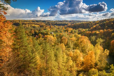 Litvanya 'nın Vilnius kentindeki Puckoriu atodanga, zengin yeşiller, sarılar ve portakallar içeren Pavilniai Bölgesel Parkı' ndaki renkli bir sonbahar ormanına yerleşmiştir.